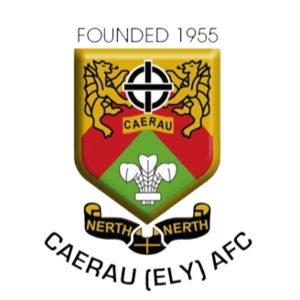 卡尔路伊利 队徽