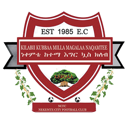 内凯姆特凯特玛 队徽