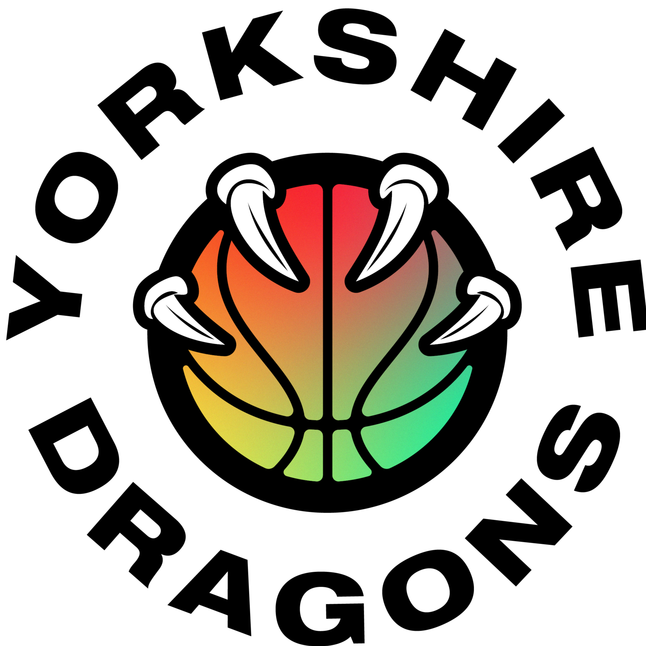 约克郡巨龙 队徽