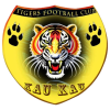 猛虎 队徽